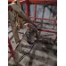 Погружной дренажный насос 50TBZ1.5 Solidpump 1.5 кВт, Ду50, 3~380 В, 22 м 27 м3/час, кабель 20 м, промышленный строительный